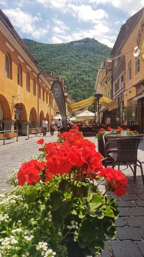 Avantgarden Brasov, Perfect Home - 1 Room Apartment Ngoại thất bức ảnh